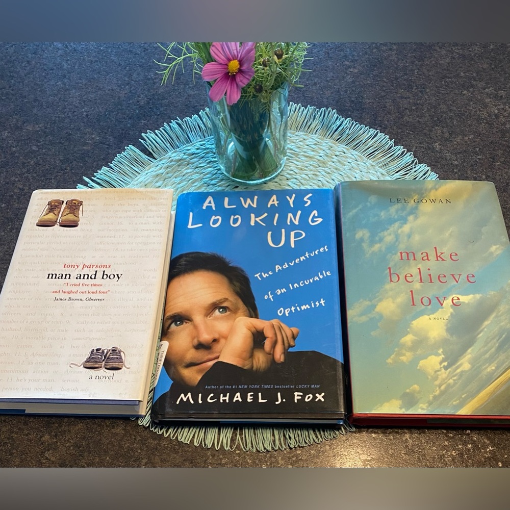 Book Bundle 3 Man and Boy Always looking Up Make Believe Love Fiction Biography